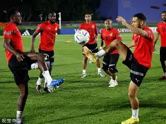 教练因战术失误遭质疑，球队陷入困境的简单介绍